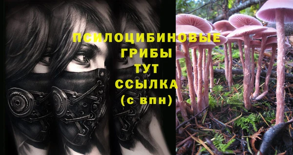 MESCALINE Вязники